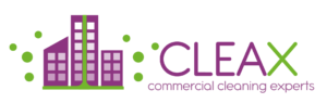 LOGO CLEAX WEB